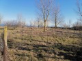 Продава ПАРЦЕЛ, с. Крапец, област Добрич, снимка 2