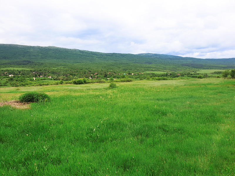 Продава КЪЩА, с. Туден, област София област, снимка 6 - Къщи - 53119103