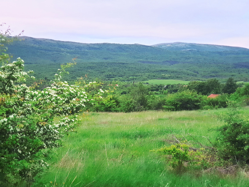 Продава КЪЩА, с. Туден, област София област, снимка 7 - Къщи - 53119103