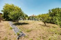 Продава  Къща област Варна , с. Добри дол , 100 кв.м | 90759598 - изображение [13]