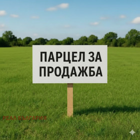 ����� ������� ������,��. ������, ������ ����