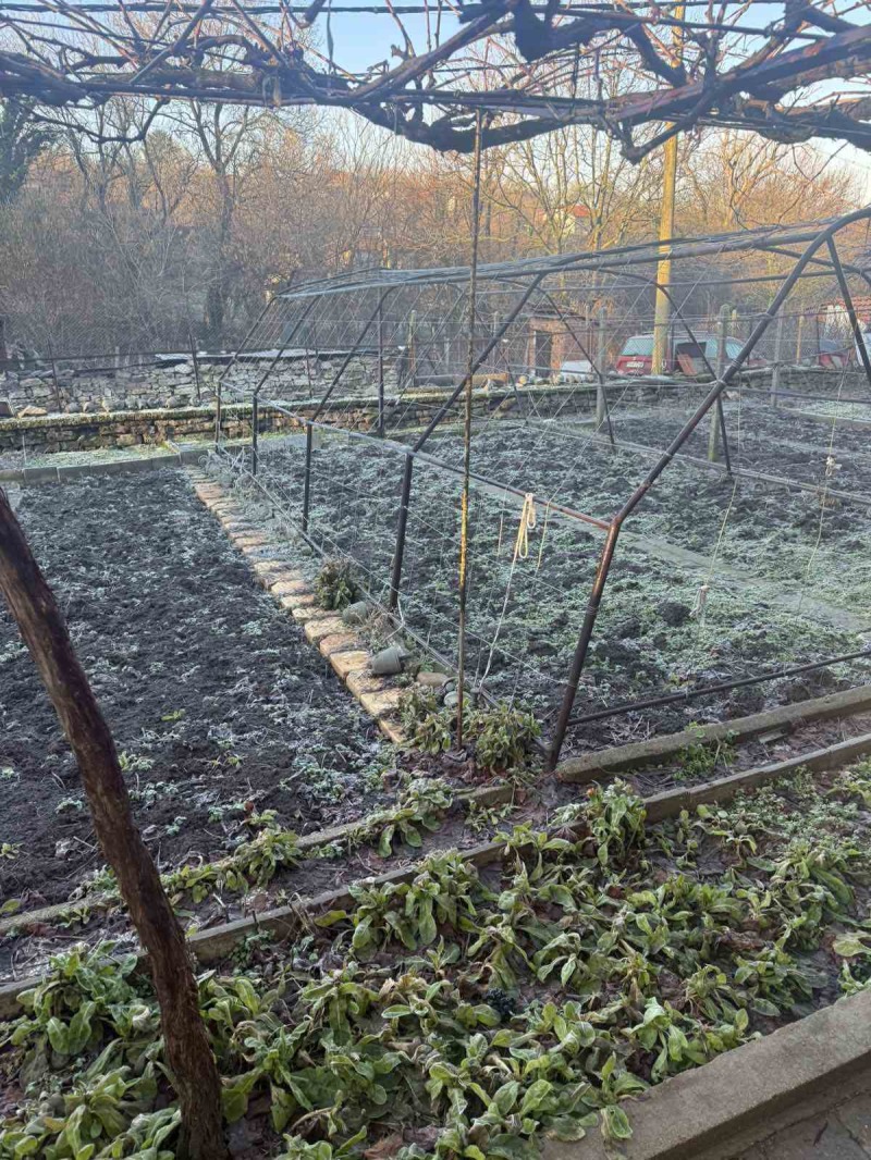 Продава КЪЩА, с. Тодорово, област Плевен, снимка 6 - Къщи - 53231913