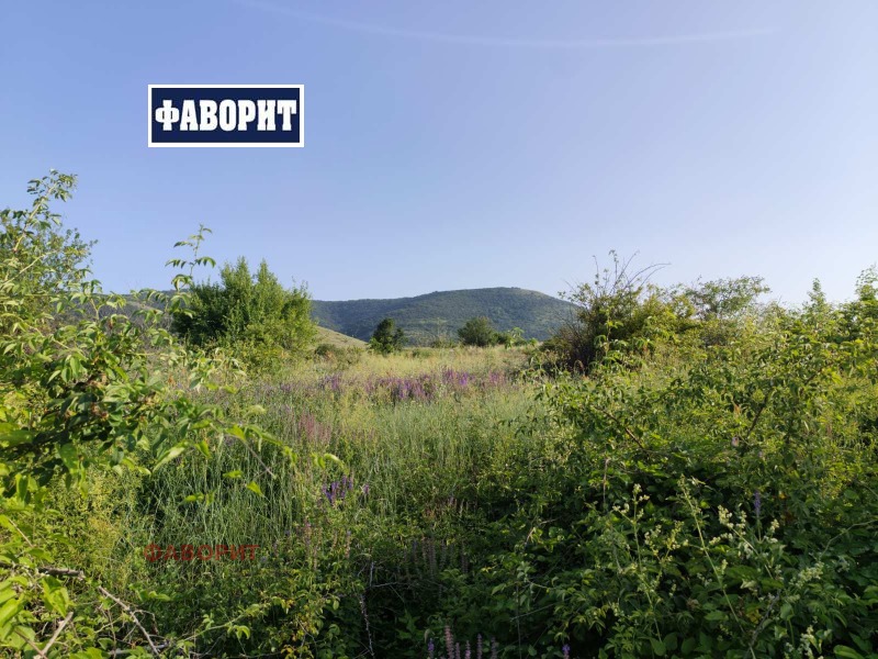 For Sale  Plot region Plovdiv , Markovo , 1249 sq.m | 65355999 - image [7]