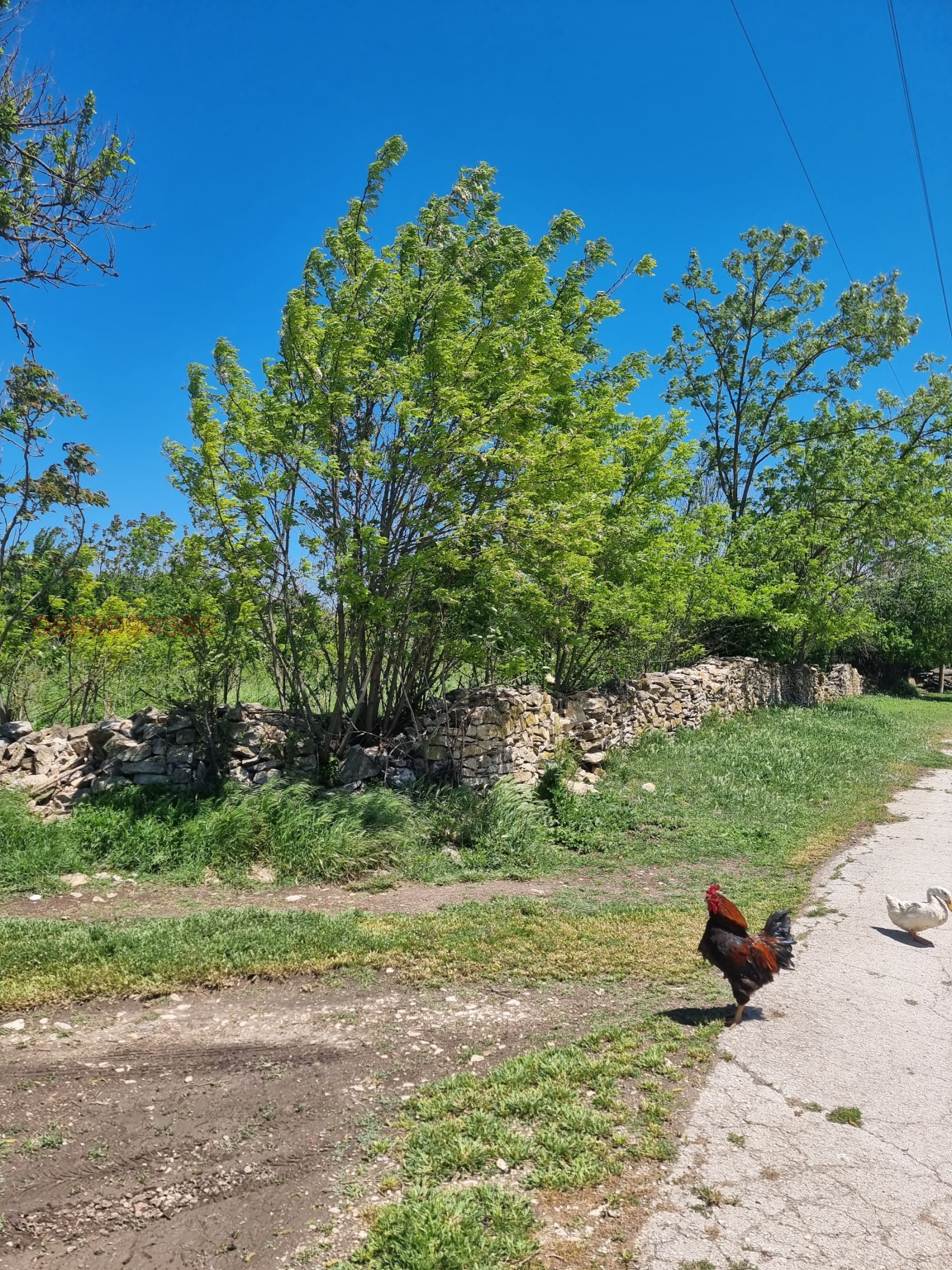 Продава ПАРЦЕЛ, гр. Шумен, Мътница