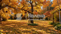 Продава ПАРЦЕЛ, гр. София, Симеоново, снимка 4