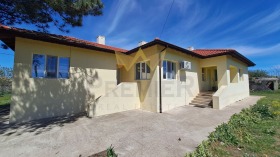 ������ ������� ����