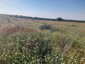 ������� ���������� ���� | Imot.bg � ����� ������ 2