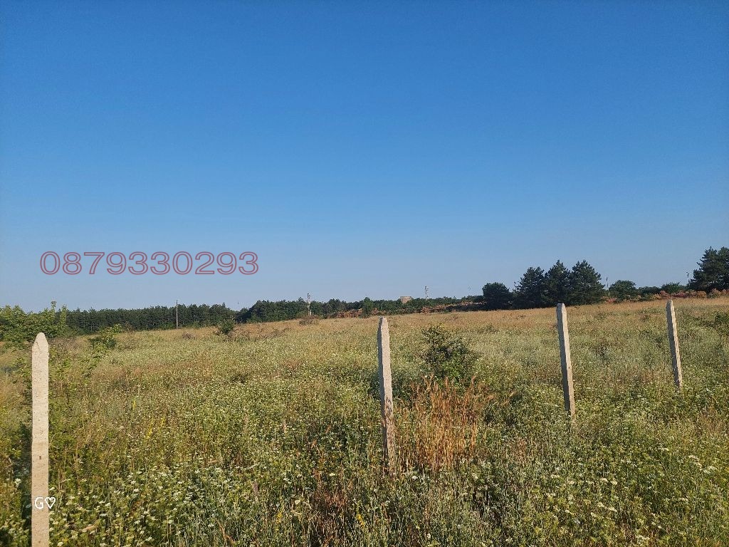 Продава ЗЕМЕДЕЛСКА ЗЕМЯ, с. Новаково, област Варна, снимка 12 - Земеделска земя - 55283824
