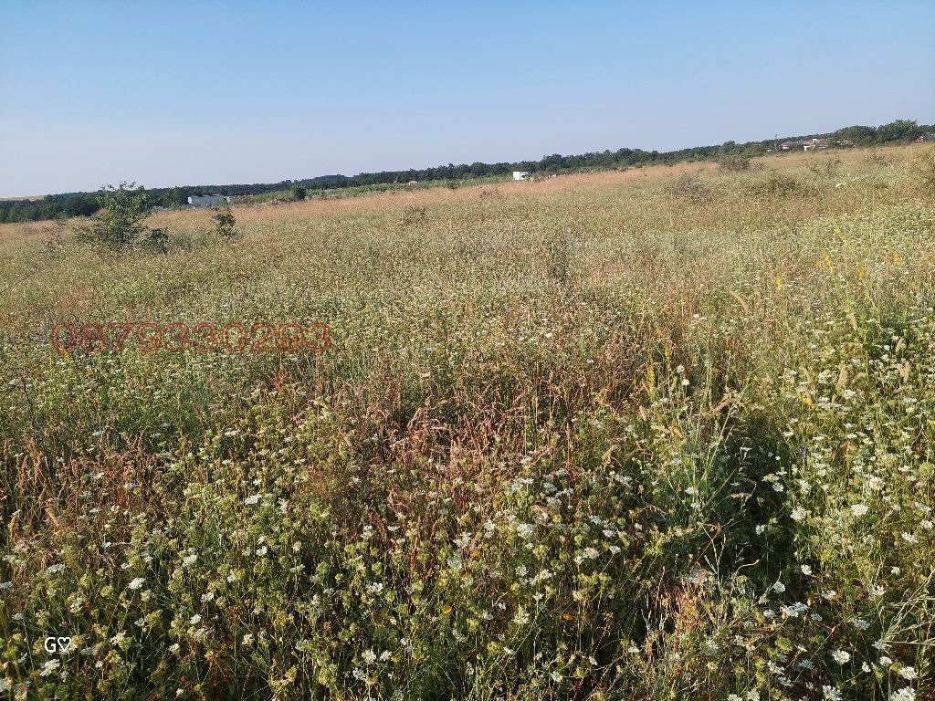 Продава ЗЕМЕДЕЛСКА ЗЕМЯ, с. Новаково, област Варна