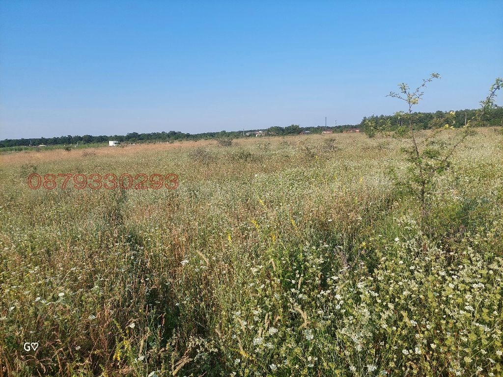 Продава ЗЕМЕДЕЛСКА ЗЕМЯ, с. Новаково, област Варна, снимка 4 - Земеделска земя - 55283824