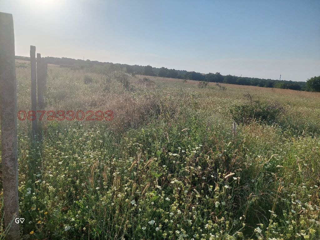 Продава ЗЕМЕДЕЛСКА ЗЕМЯ, с. Новаково, област Варна, снимка 6 - Земеделска земя - 55283824