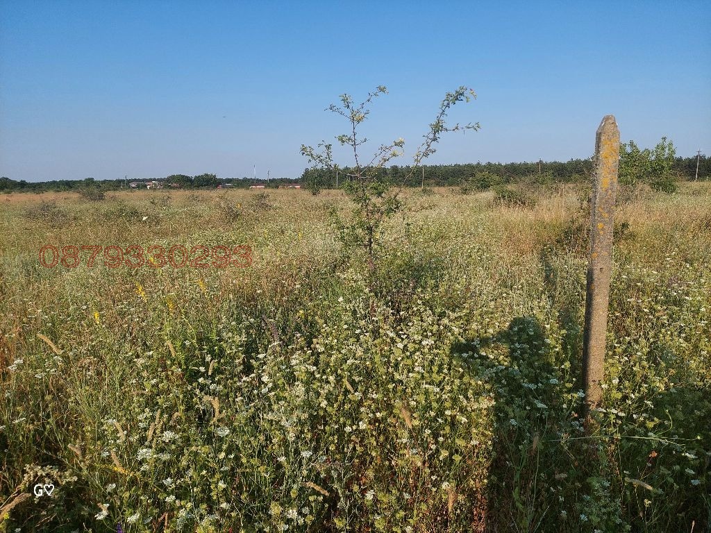 Продава ЗЕМЕДЕЛСКА ЗЕМЯ, с. Новаково, област Варна, снимка 7 - Земеделска земя - 55283824