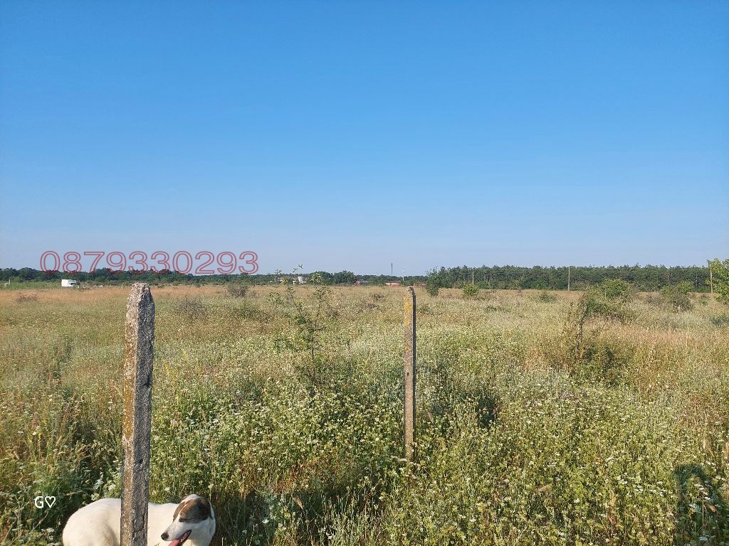 Продава ЗЕМЕДЕЛСКА ЗЕМЯ, с. Новаково, област Варна, снимка 10 - Земеделска земя - 55283824
