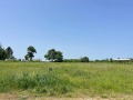 Продава ПАРЦЕЛ, с. Брестовец, област Плевен, снимка 2