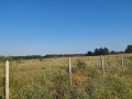 Продава ЗЕМЕДЕЛСКА ЗЕМЯ, с. Новаково, област Варна, снимка 12
