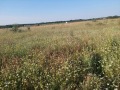 Продава ЗЕМЕДЕЛСКА ЗЕМЯ, с. Новаково, област Варна, снимка 1