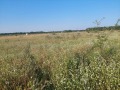 Продава ЗЕМЕДЕЛСКА ЗЕМЯ, с. Новаково, област Варна, снимка 4