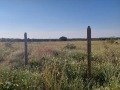 Продава ЗЕМЕДЕЛСКА ЗЕМЯ, с. Новаково, област Варна, снимка 8
