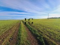 Продава  Парцел област Бургас , с. Александрово , 400 кв.м | 73176011 - изображение [5]