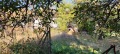 Продава ПАРЦЕЛ, област Пловдив, гр. Калофер • 50000 € • 60683884 — Holmes.bg