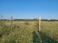 Продава  Земеделска земя област Варна , с. Новаково , 10 дка | 70813257 - изображение [11]