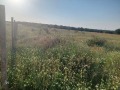 Продава  Земеделска земя област Варна , с. Новаково , 10 дка | 70813257 - изображение [6]