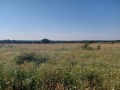 Продава  Земеделска земя област Варна , с. Новаково , 10 дка | 70813257 - изображение [5]