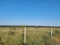 Продава  Земеделска земя област Варна , с. Новаково , 10 дка | 70813257 - изображение [13]