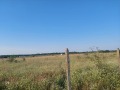 Продава  Земеделска земя област Варна , с. Новаково , 10 дка | 70813257 - изображение [9]