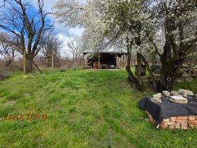 ������� ������ | Imot.bg � ����� ������ 5