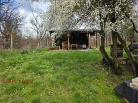 ������ ������� ������