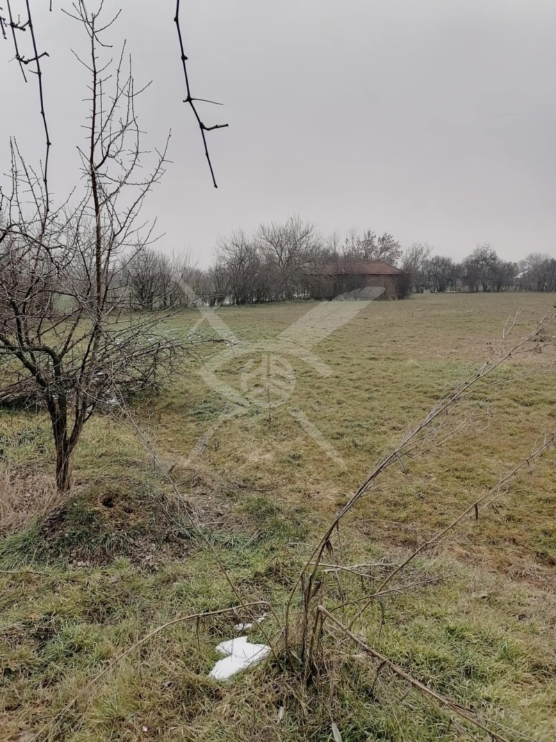 Продава ПАРЦЕЛ в област Бургас, с. Веселие - 21340 кв.м / 34 900 € » 68 258.47 лв., ЕКС НВД БУРГАС ООД