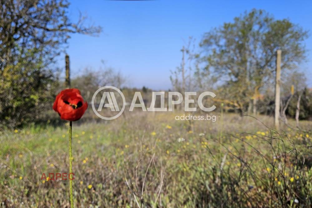 ������� ������ | Imot.bg � ����������� 3