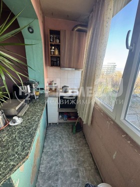 ����� ������� 2-�����,���� �����, ������ ����>