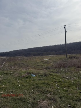 Plot Bukovlak, region Pleven 1