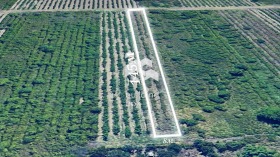 ������� ������ | Imot.bg � ����� ������ 2