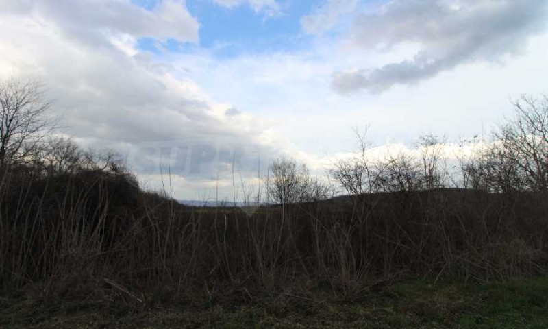 For Sale  Plot region Veliko Tarnovo , Lyaskovets , 2653 sq.m | 46999151 - image [4]