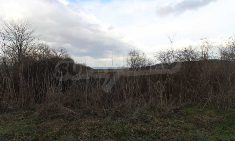 Zu verkaufen  Handlung region Weliko Tarnowo , Ljaskowez , 2653 qm | 46999151 - Bild [5]