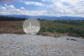 Продава ПАРЦЕЛ, област Пловдив, с. Оризари • 36640 € • 99563128 — Holmes.bg