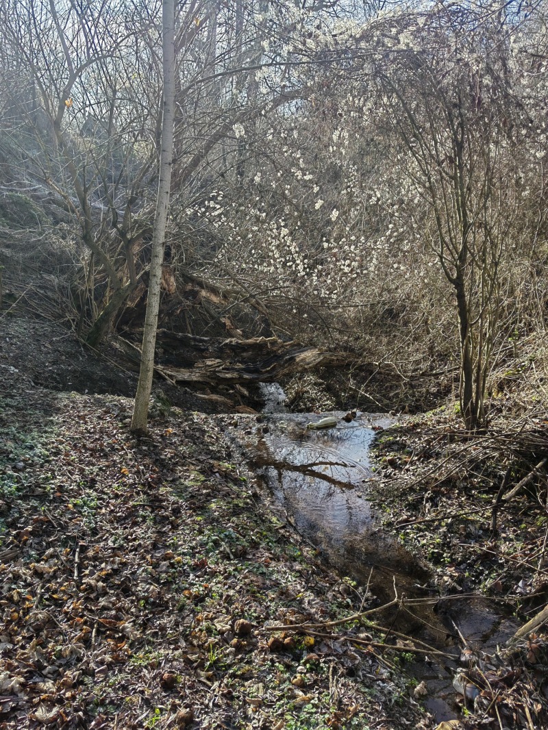 Продава КЪЩА, с. Владиславци, област София област, снимка 3 - Къщи - 52812844