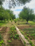 Продава ВИЛА, гр. Плевен, Широк център, снимка 14