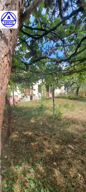 Casa Teliș, regiunea Pleven 14