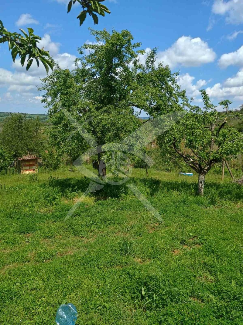 Продава ПАРЦЕЛ, с. Белила, област Бургас, снимка 2 - Парцели - 53319776