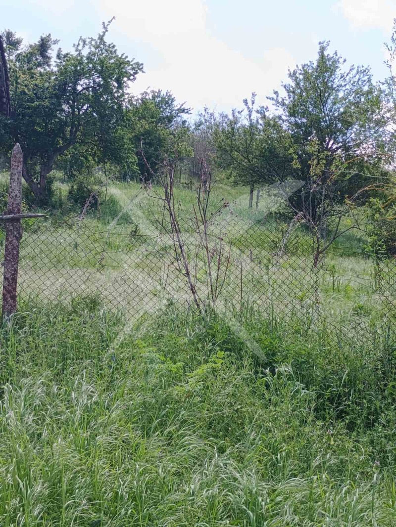 Продава ПАРЦЕЛ, с. Белила, област Бургас, снимка 2 - Парцели - 52994869