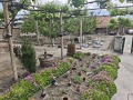 Продава КЪЩА, с. Сбор, област Пазарджик, снимка 3