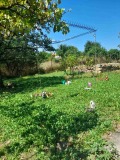 Продава  Къща област Перник , с. Велковци , 140 кв.м | 96031541 - изображение [11]