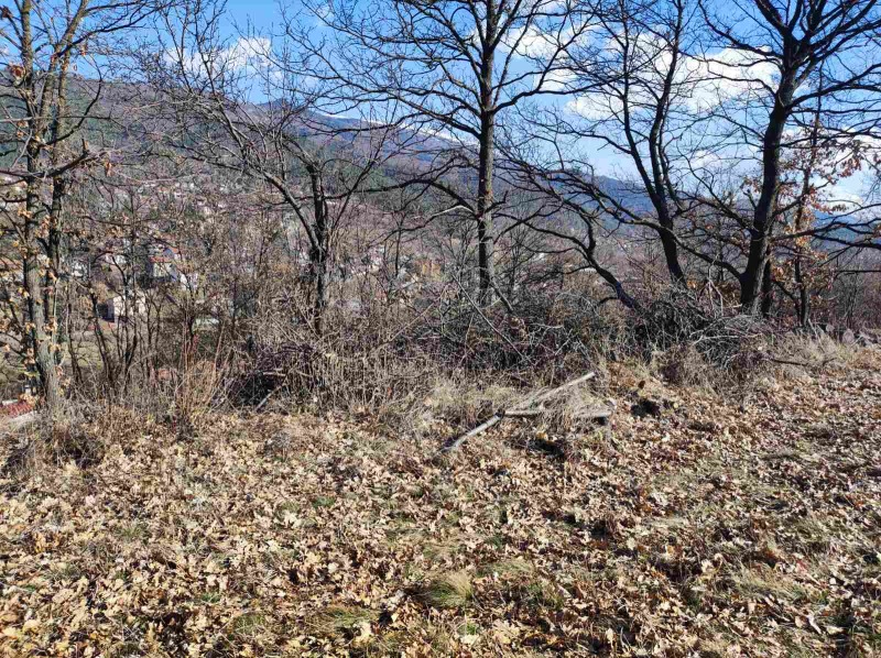 Продава ПАРЦЕЛ в област Перник, с. Рударци - 1550 кв.м / 54 000 € » 105 614.82 лв., АРА ЕСТЕЙТ