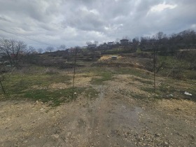 ����� ������� ������,���� ��������, �����������