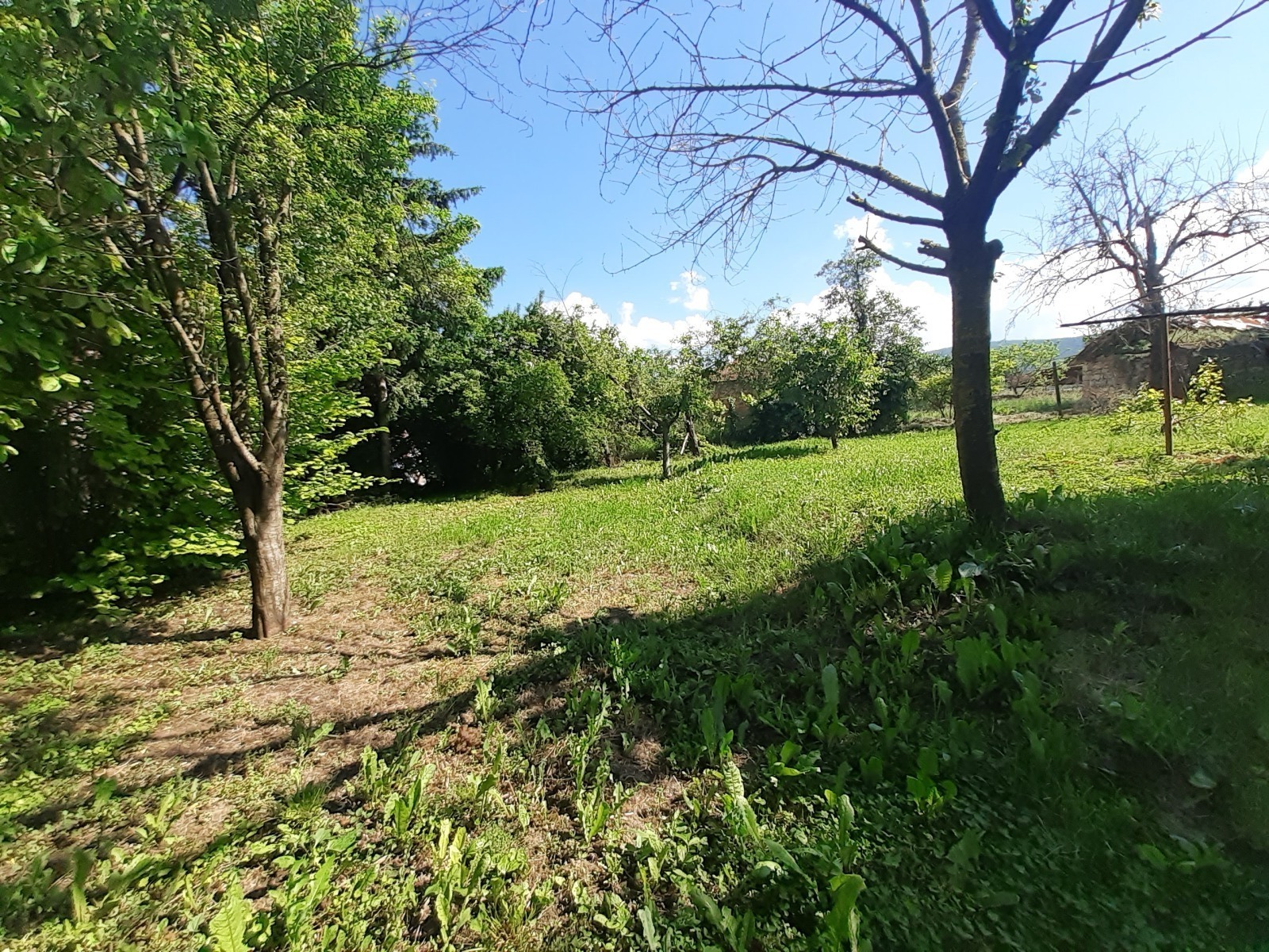 Продава КЪЩА, с. Петко Славейков, област Габрово, снимка 6 - Къщи - 54711749
