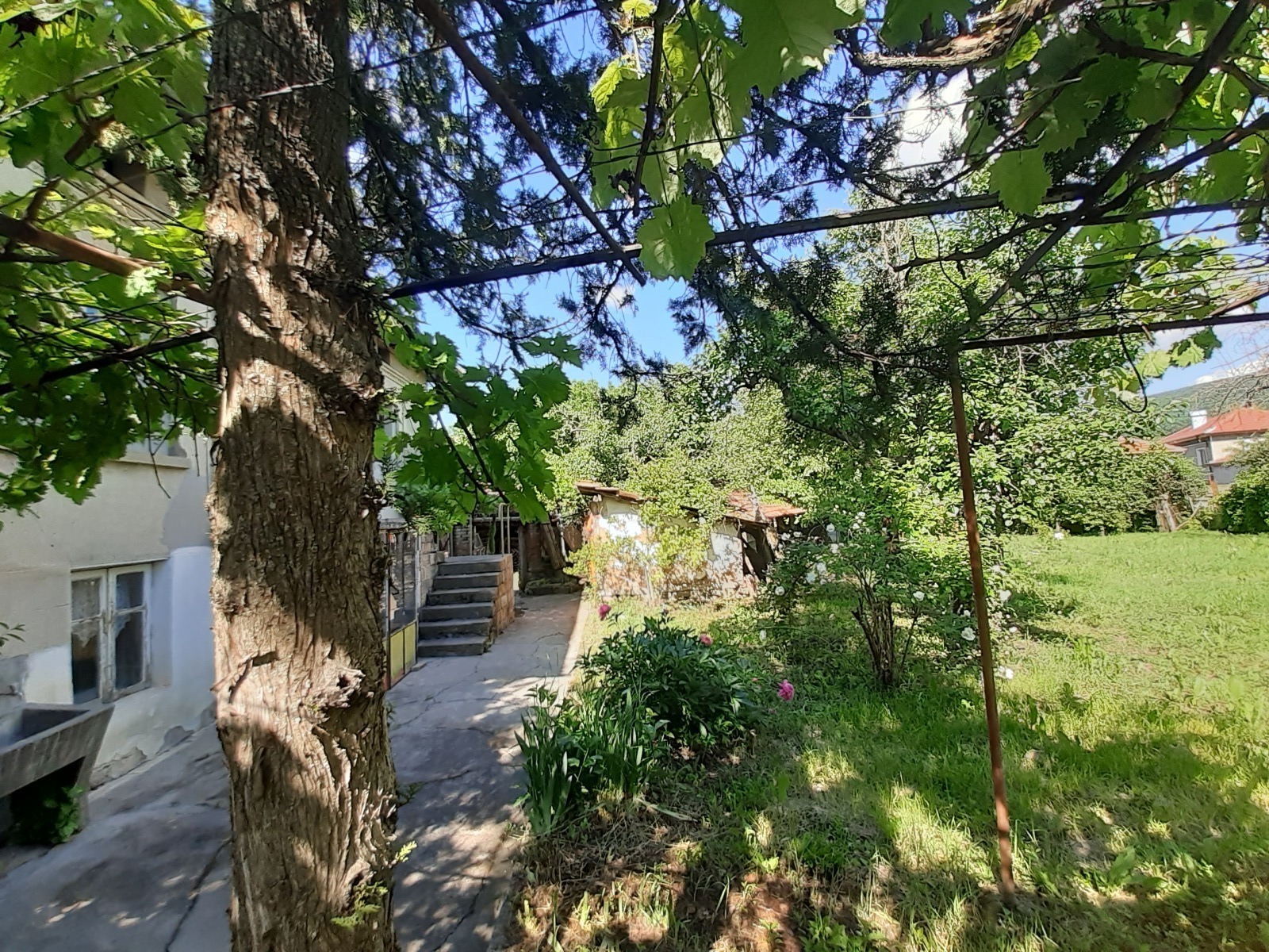 Продава КЪЩА, с. Петко Славейков, област Габрово, снимка 4 - Къщи - 54711749